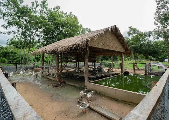 Hotel Beng Mealea Phumi Trach Pok